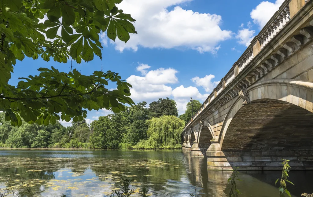 Bridge over a lake with lush greenery and blue sky